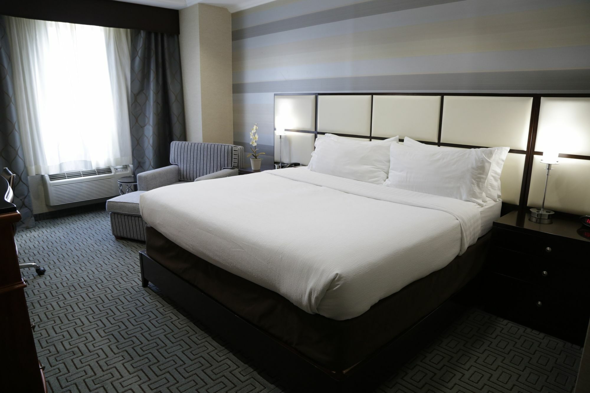 Holiday Inn Plainview-Long Island By Ihg Eksteriør billede